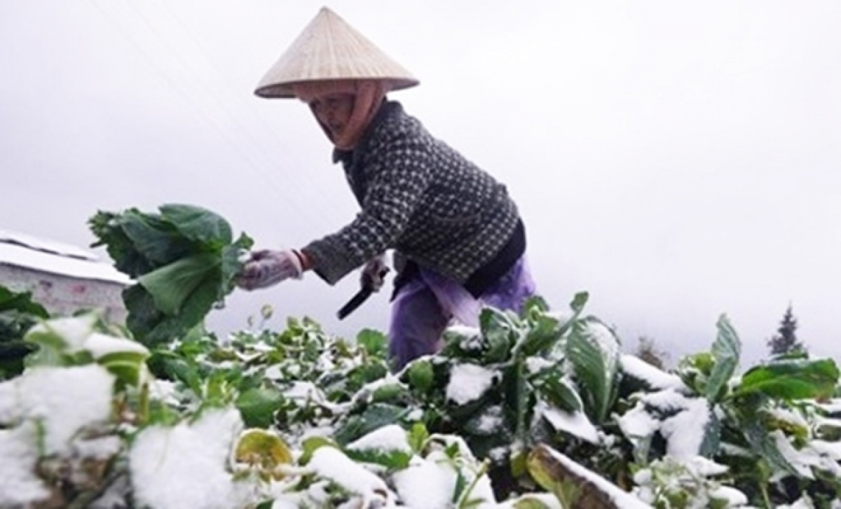 chuyên gia rét đậm, rét hại, băng giá có thể xảy ra ở bắc bộ vào cuối tuần hình ảnh 1 chuyen gia ret dam, ret hai, bang gia co the xay ra o bac bo vao cuoi tuan hinh anh 1