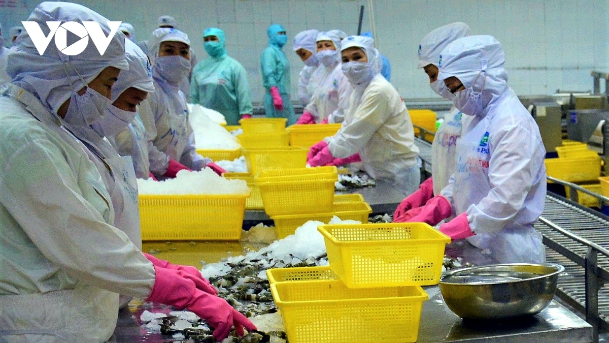 xuất khẩu, xuất siêu tiếp tục là điểm sáng nổi bật của nền kinh tế trong năm 2022 hình ảnh 1 xuat khau, xuat sieu tiep tuc la diem sang noi bat cua nen kinh te trong nam 2022 hinh anh 1