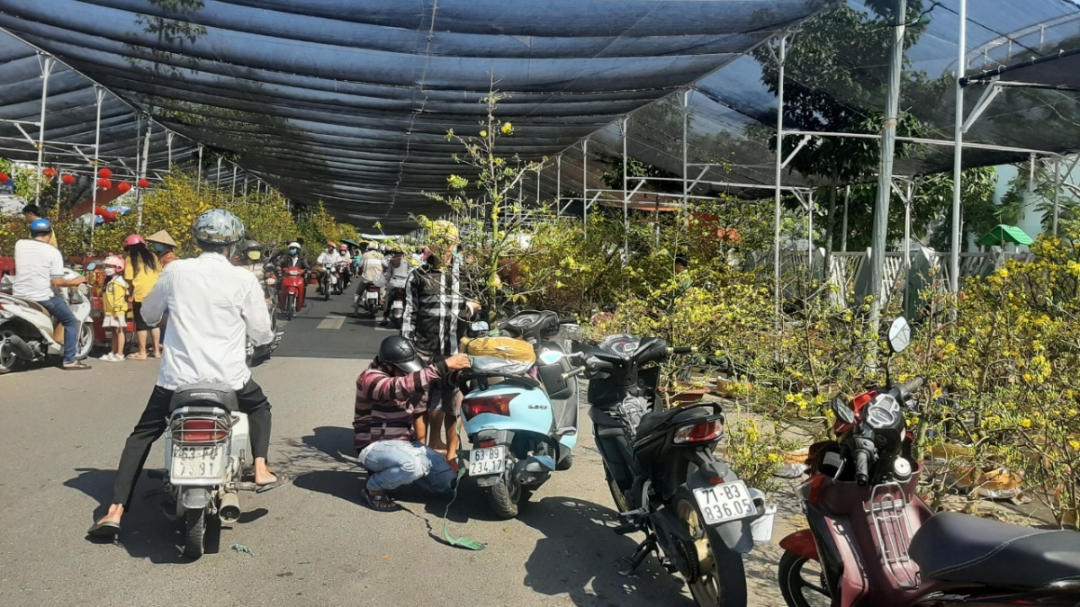 thi truong hoa kieng tet o tien giang nguoi cuoi, ke khoc hinh anh 2