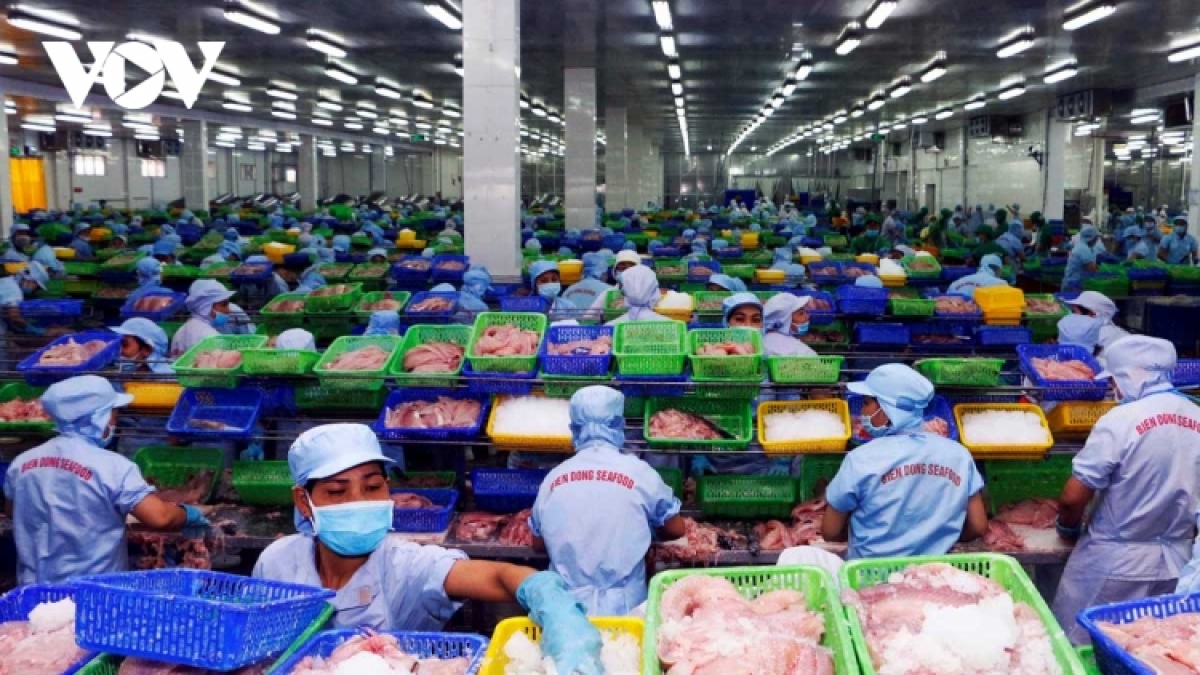 10.800 doanh nghiệp thành lập mới trong tháng 1 2023 hình ảnh 1 10.800 doanh nghiep thanh lap moi trong thang 1 2023 hinh anh 1