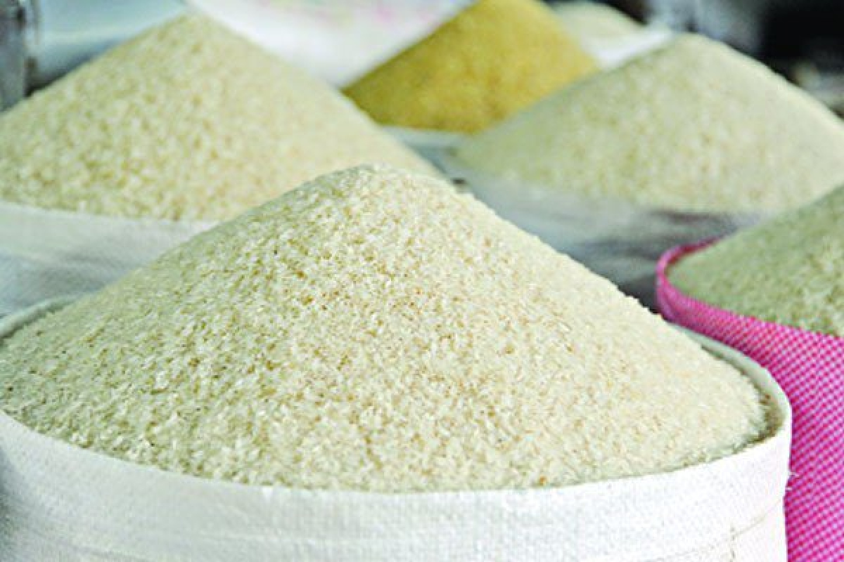 gạo và dưa hấu gò công tiền giang được cấp nhãn hiệu tập thể hình ảnh 2 gao va dua hau go cong tien giang duoc cap nhan hieu tap the hinh anh 2