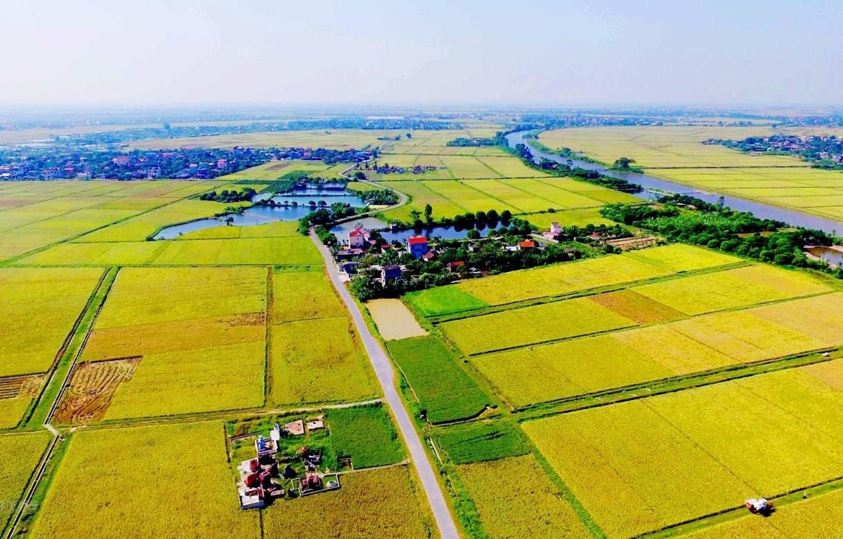 luật Đất đai sửa đổi cần hỗ trợ nông dân, htx sử dụng hiệu quả đất nông nghiệp hình ảnh 1 luat Dat dai sua doi can ho tro nong dan, htx su dung hieu qua dat nong nghiep hinh anh 1