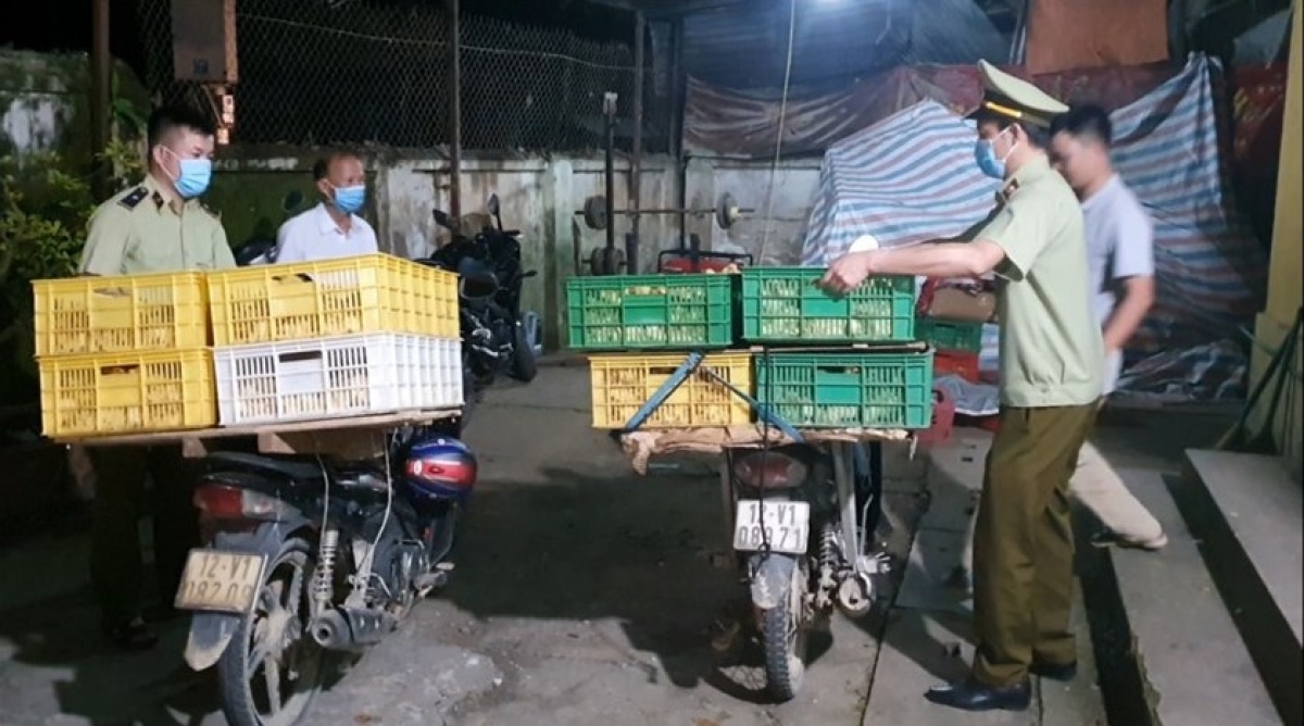 ngăn chặn nhập lậu gia cầm vào việt nam bộ nn ptnt ra công văn khẩn hình ảnh 1 ngan chan nhap lau gia cam vao viet nam bo nn ptnt ra cong van khan hinh anh 1