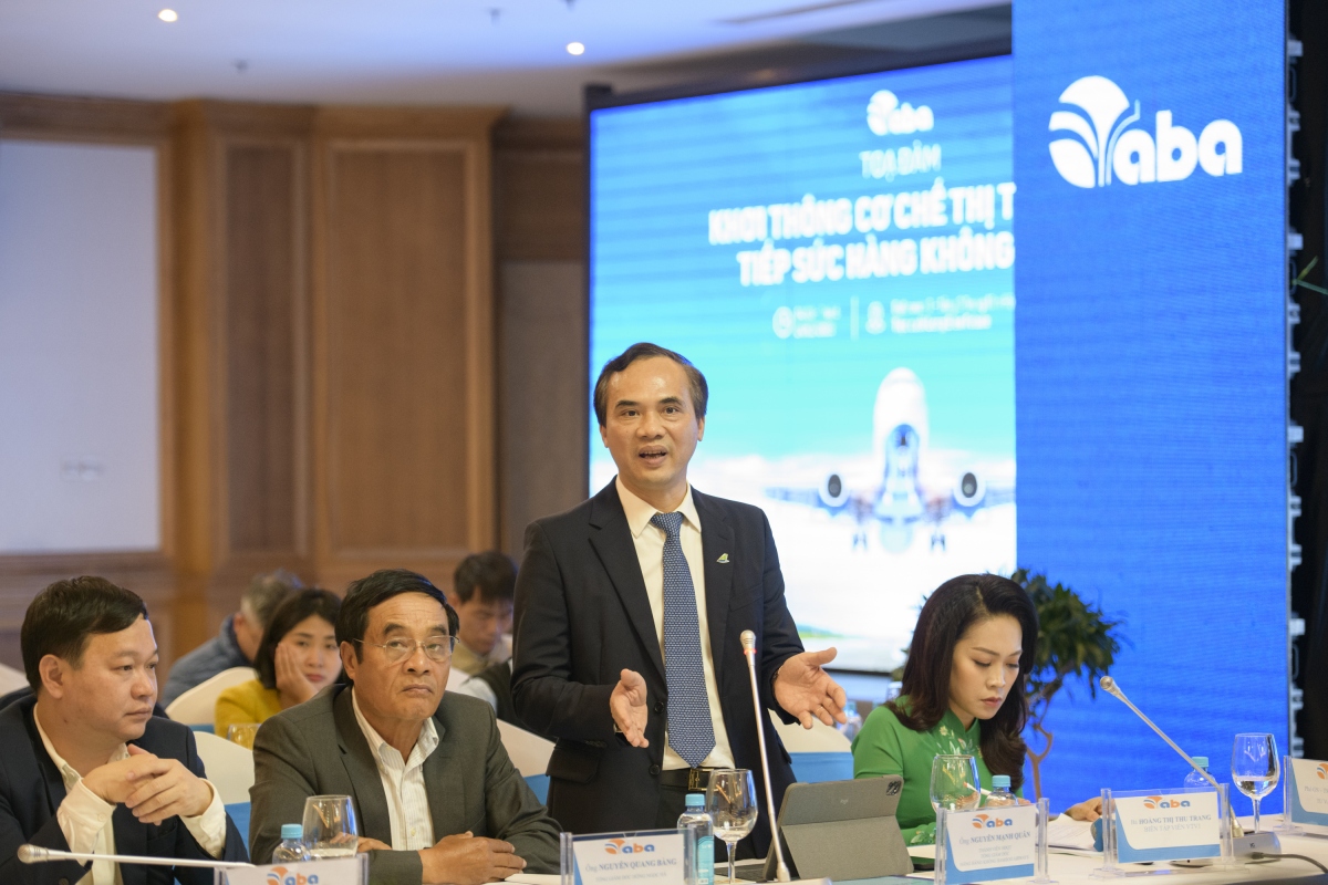 Dong loat kien nghi bo tran ve may bay noi dia hinh anh 2