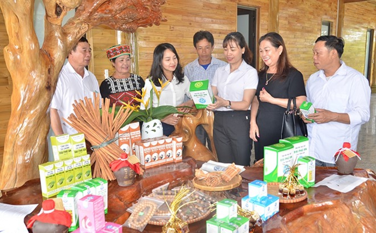 văn yên yên bái tiềm năng, bứt phá phát triển khu vực tây bắc hình ảnh 1 van yen yen bai tiem nang, but pha phat trien khu vuc tay bac hinh anh 1