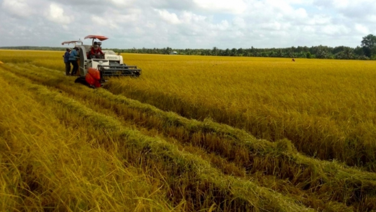 góp ý dự thảo luật đất đai sửa đổi ngân hàng đất đai cởi trói đất nông nghiệp hình ảnh 1 gop y du thao luat dat dai sua doi ngan hang dat dai coi troi dat nong nghiep hinh anh 1