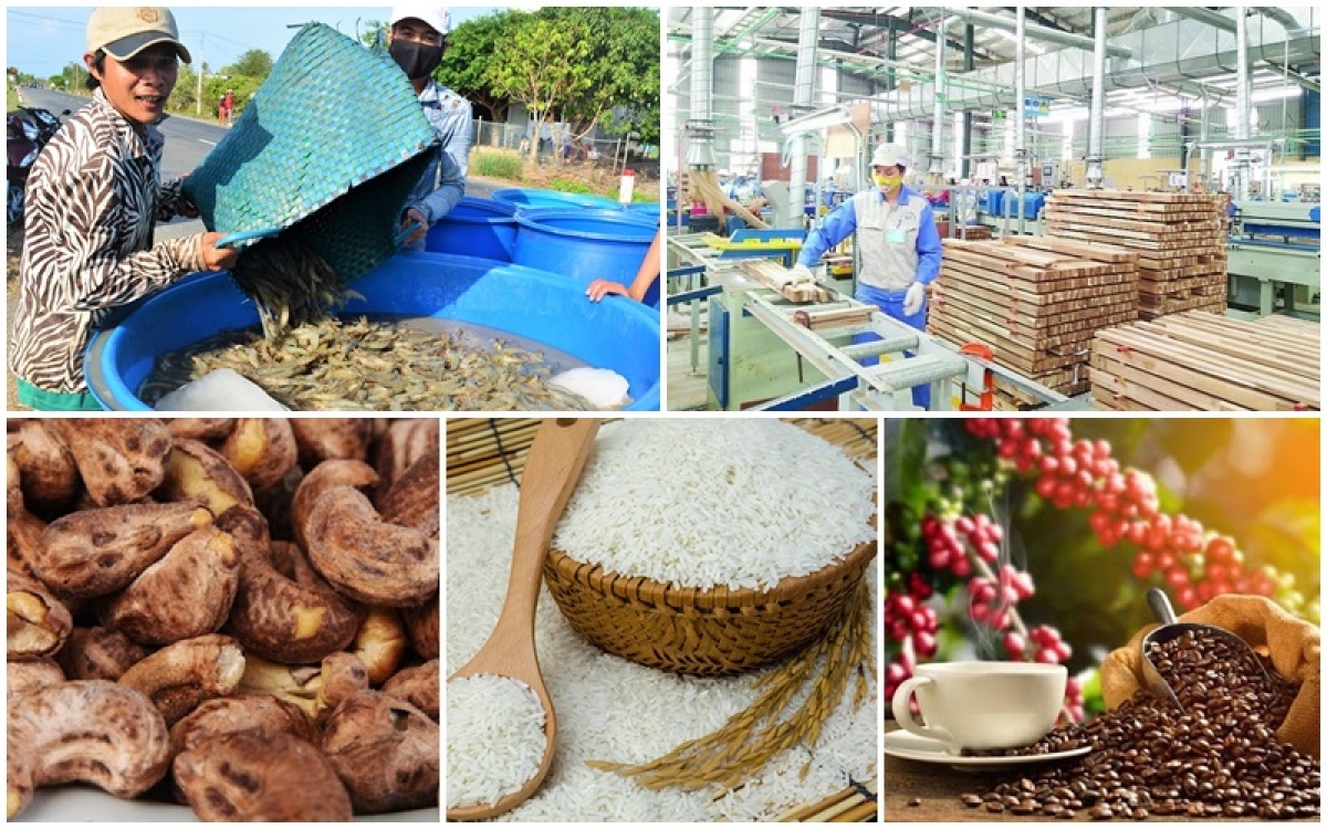 Đẩy mạnh đàm phán các fta mới, giải pháp quan trọng trong hoạt động xuất khẩu 2023 hình ảnh 1 Day manh dam phan cac fta moi, giai phap quan trong trong hoat dong xuat khau 2023 hinh anh 1