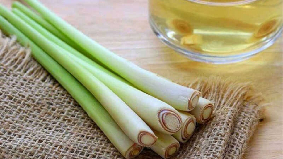phong tranh muoi dot don gian tu thien nhien hinh anh 2