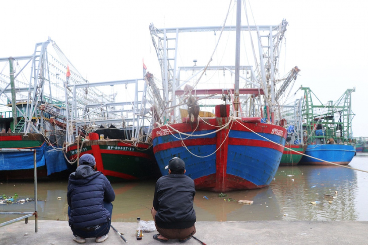 tim khong ra thuyen vien co giay to, hang tram tau ca hai phong nam bo hinh anh 2