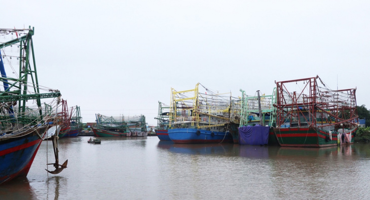 tìm không ra thuyền viên có giấy tờ, hàng trăm tàu cá hải phòng nằm bờ hình ảnh 1 tim khong ra thuyen vien co giay to, hang tram tau ca hai phong nam bo hinh anh 1