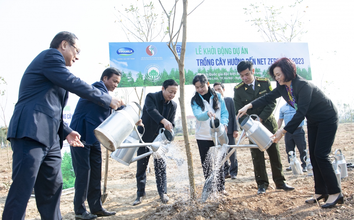 pho thu tuong tran hong ha phat dong du an trong cay huong den net zero vao nam 2050 hinh anh 3