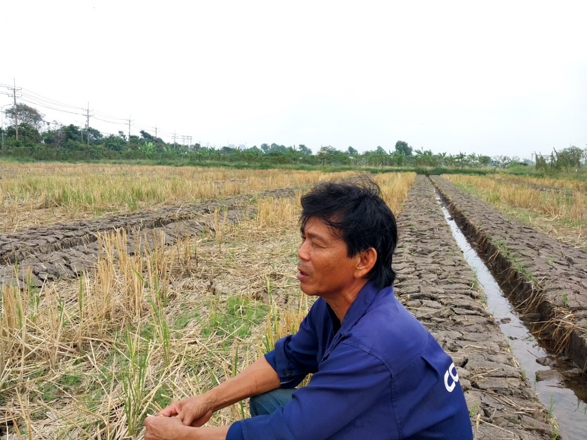 lan song di cu o mien tay chuyen gia noi gi ve giai phap can co hinh anh 2