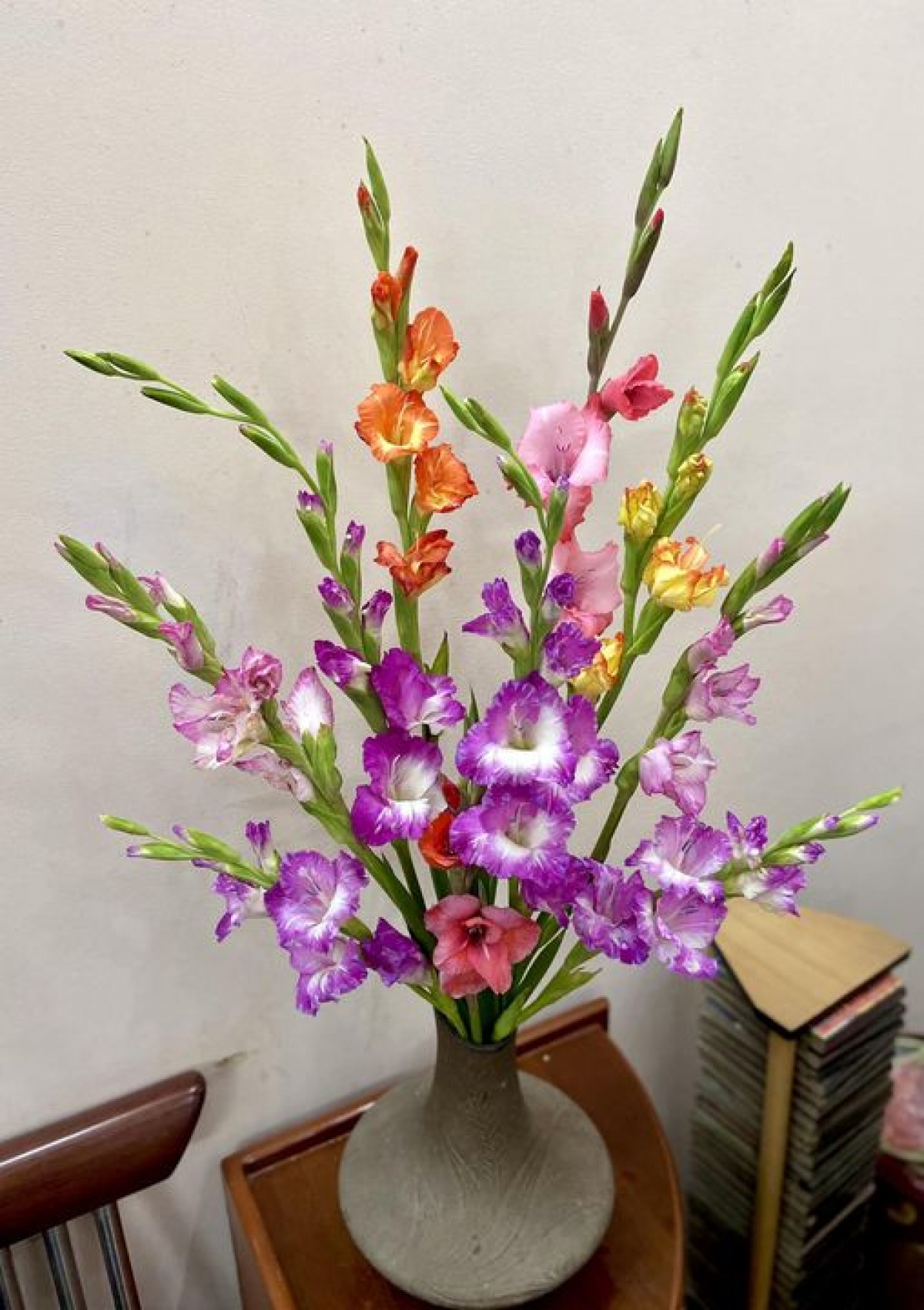 hoa lay on, bieu tuong suc manh, long trung thanh hinh anh 3