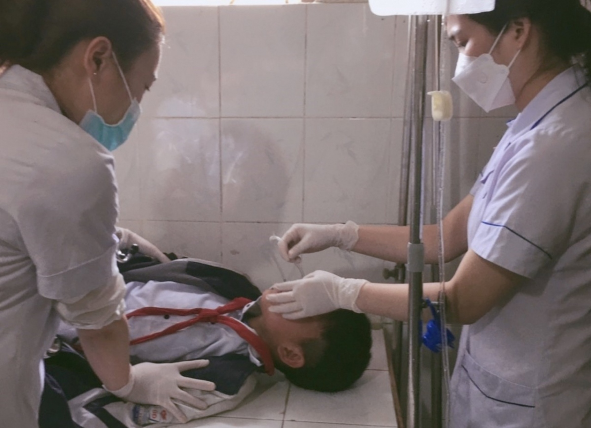 11 học sinh nhập viện cấp cứu vì ăn hạt quả ngô đồng hình ảnh 1 11 hoc sinh nhap vien cap cuu vi an hat qua ngo dong hinh anh 1