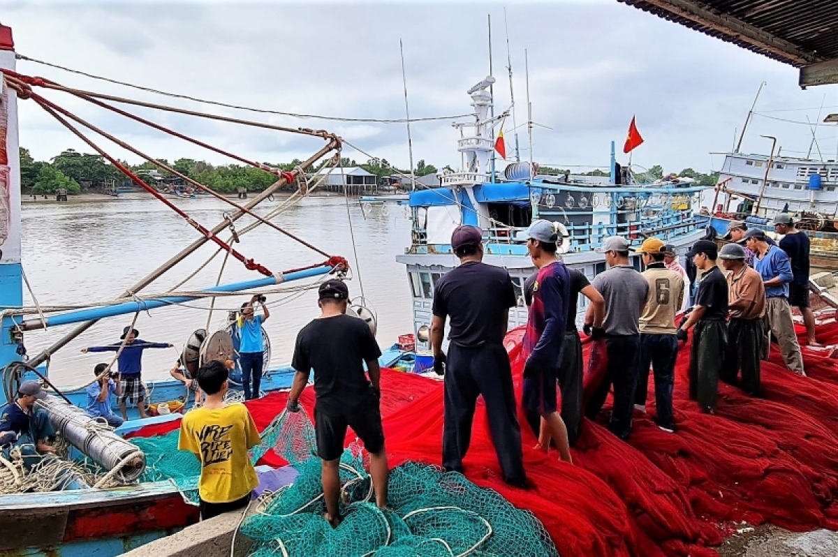 cà mau không cho tàu cá thiếu điều kiện ra biển hoạt động hình ảnh 1 ca mau khong cho tau ca thieu dieu kien ra bien hoat dong hinh anh 1