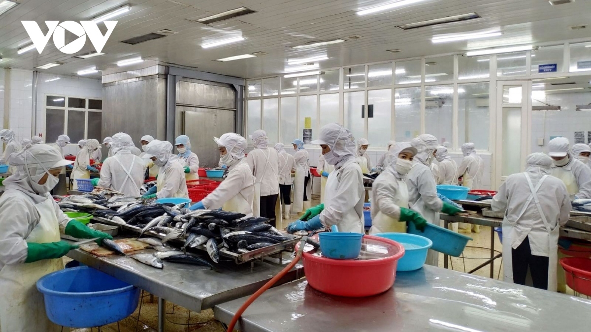 trung quốc trở lại là thị trường nhập khẩu nông lâm, thủy sản lớn nhất của việt nam hình ảnh 1 trung quoc tro lai la thi truong nhap khau nong lam, thuy san lon nhat cua viet nam hinh anh 1