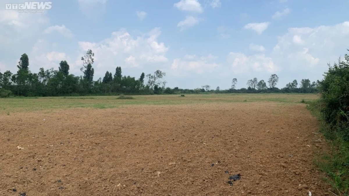 binh Dinh loi khan cau cua thanh co bi rac bua vay hinh anh 2