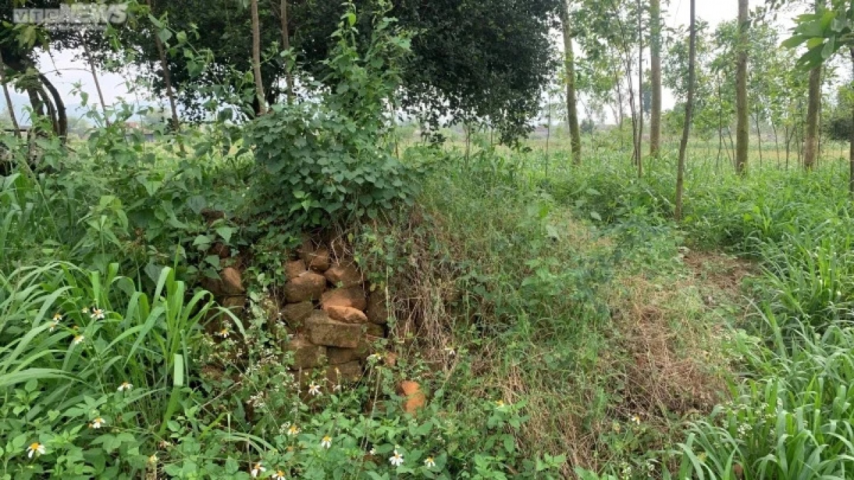 binh Dinh loi khan cau cua thanh co bi rac bua vay hinh anh 4