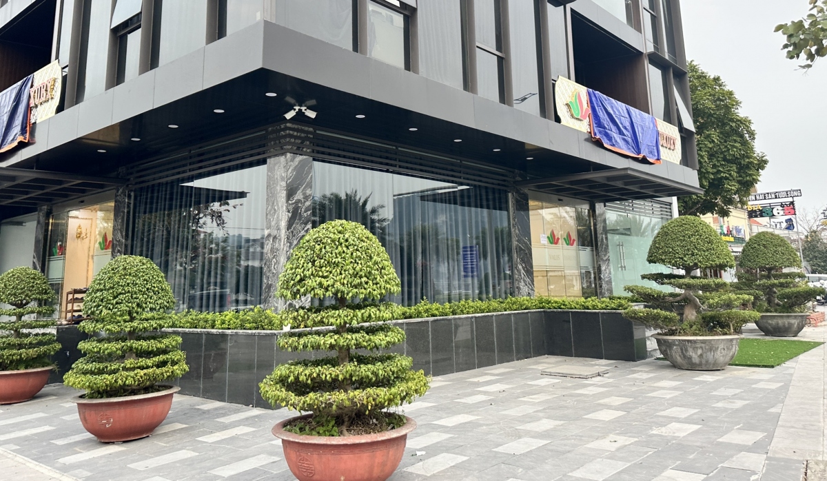 buộc dừng hoạt động cơ sở nha khoa chưa đủ giấy phép hình ảnh 1 buoc dung hoat dong co so nha khoa chua du giay phep hinh anh 1