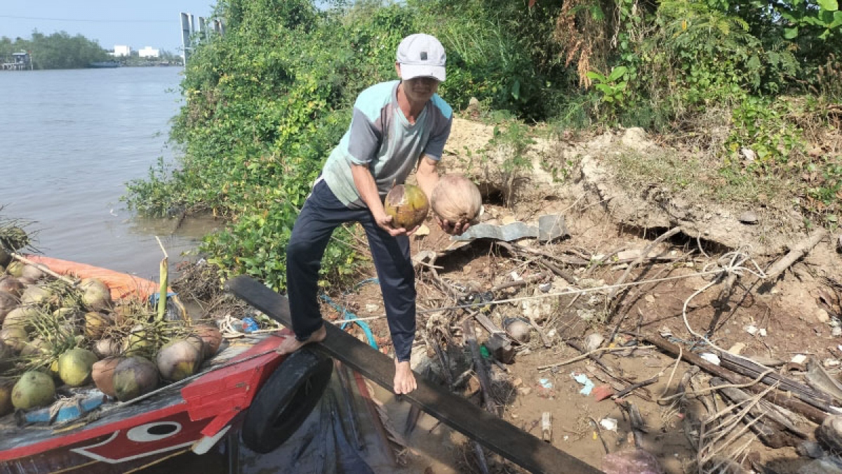 công bố tình huống khẩn cấp sạt lở bờ sông mỏ cày, tỉnh bến tre hình ảnh 1 cong bo tinh huong khan cap sat lo bo song mo cay, tinh ben tre hinh anh 1