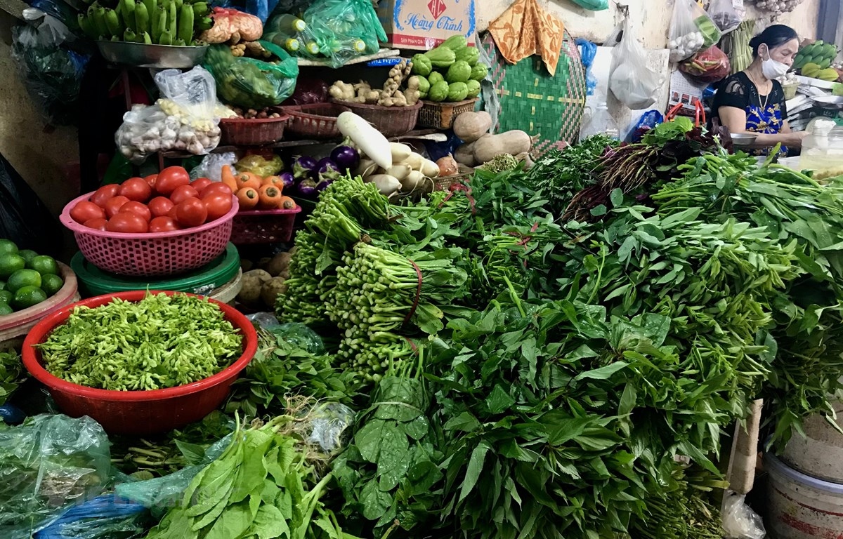 tai sao an nhieu rau van tang can hinh anh 2