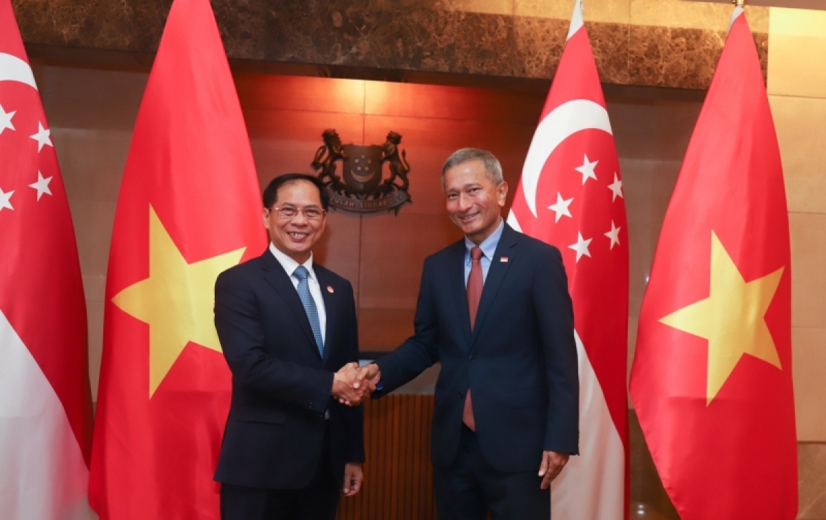 Bộ trưởng Ngoại giao Bùi Thanh Sơn và Bộ trưởng Ngoại giao Singapore Vivian Balakrishnan
