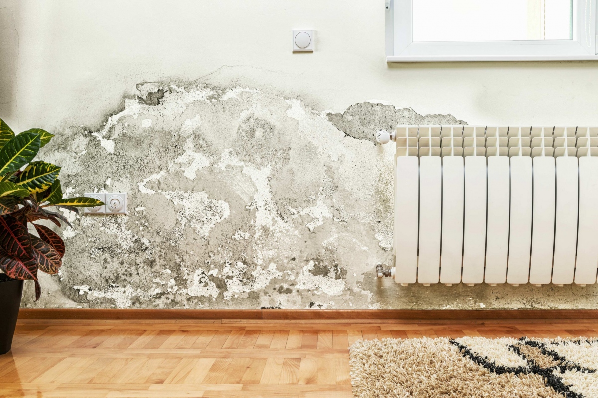Xử lý các vết bong tróc: Nếu bề mặt tường xử lý không tốt khi sơn, chưa thật sự nhẵn nhụi và sạch sẽ thì bụi bẩn và các tạp chất có thể làm giảm độ dính của sơn.. Sau một thời gian ngắn, tường nhà sẽ có hiện tượng bị bong tróc. Bạn nên cạo sạch phần tường bị bong tróc vì những phần tường này không thể phục hồi, sau đó thì sơn lại tường.