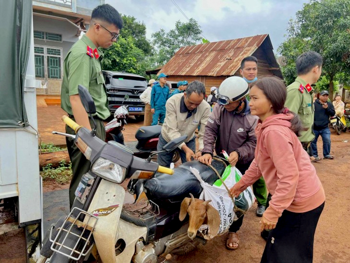 Người dân phấn khởi chở dê về chăn nuôi, phát triển kinh tế.