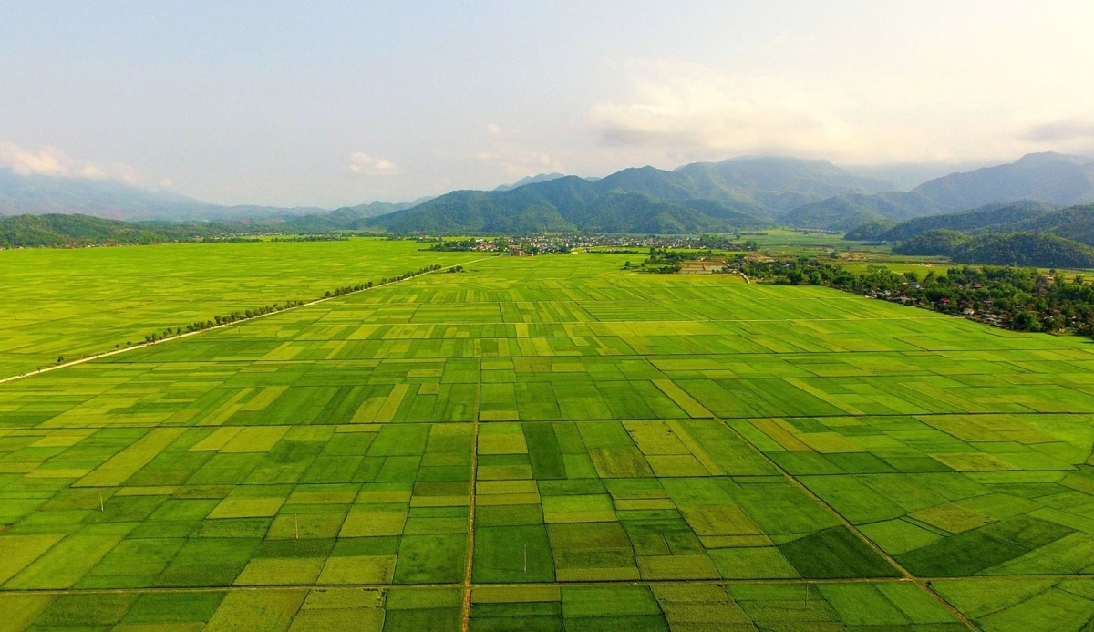 With the scale of over 140 km2 in Dien Bien province, Muong Thanh rice field is one of the largest of its kind in the nation’s northwestern region.