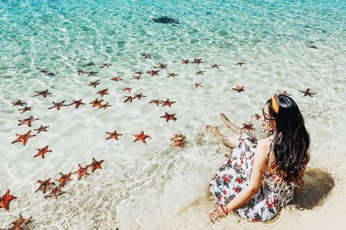 Diving in Phu Quoc is a great experience that visitors should not miss when coming to the island. For visitors, a trip to Phu Quoc is not complete without scuba diving. (Photo: internet)