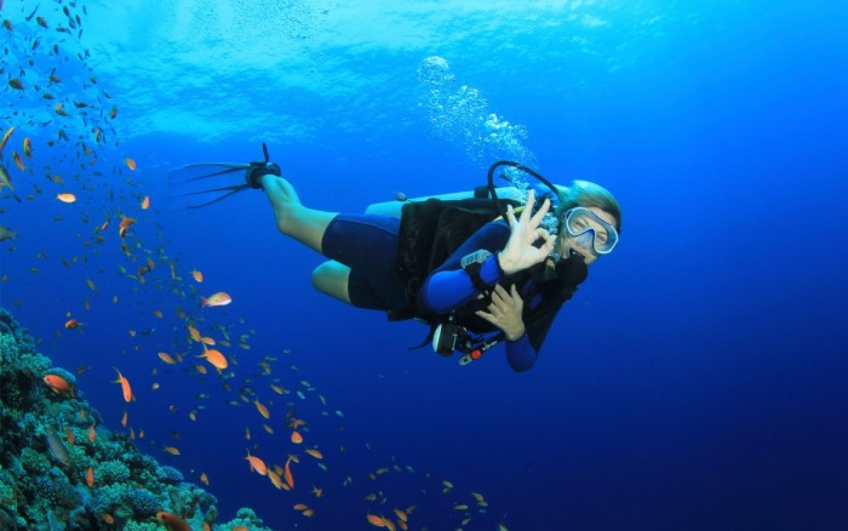 Visitors will be provided with all necessary tools for the trip at different depths, with such a tour normally lasting for half a day or a full day. (Photo: internet)