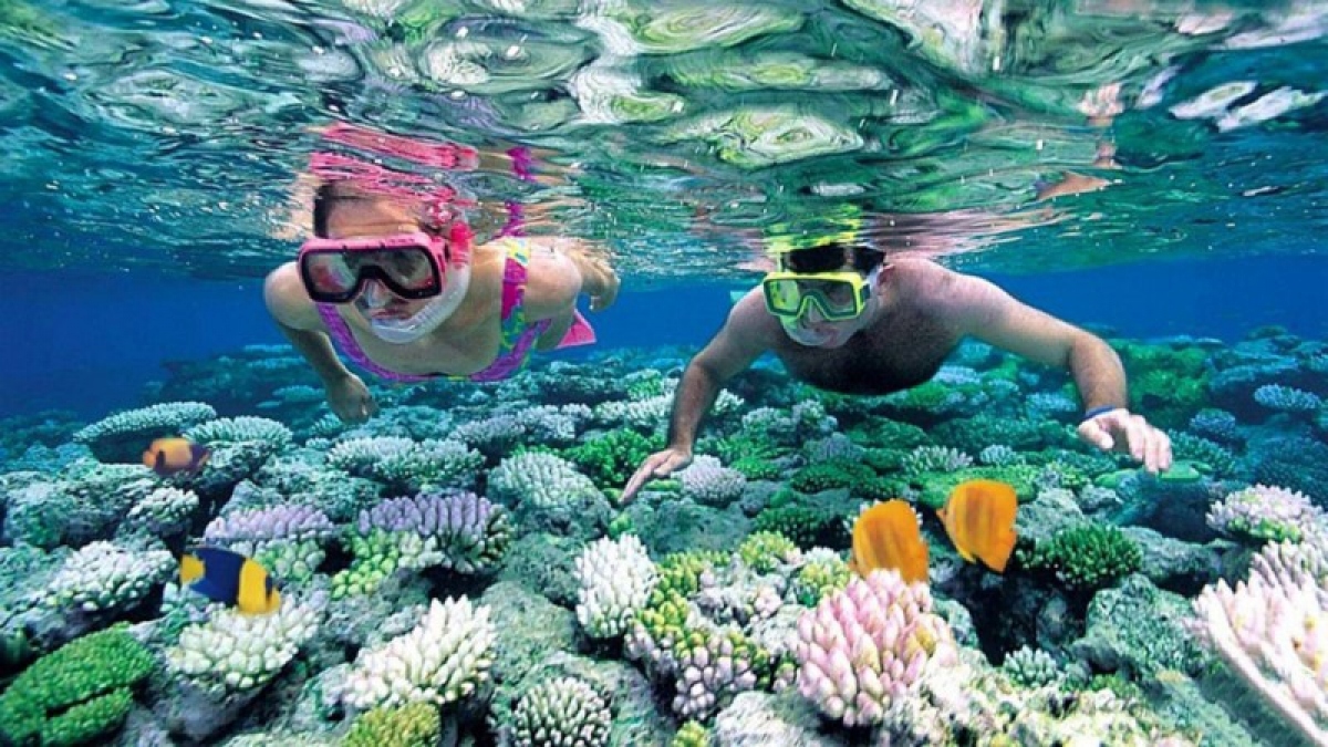 Blessed with an endless coastline with clear blue water, Phu Quoc Island is the ideal choice for an exciting scuba diving trip. There are many diverse diving sites there, with each site having its own topography and characteristics. (Photo: internet)