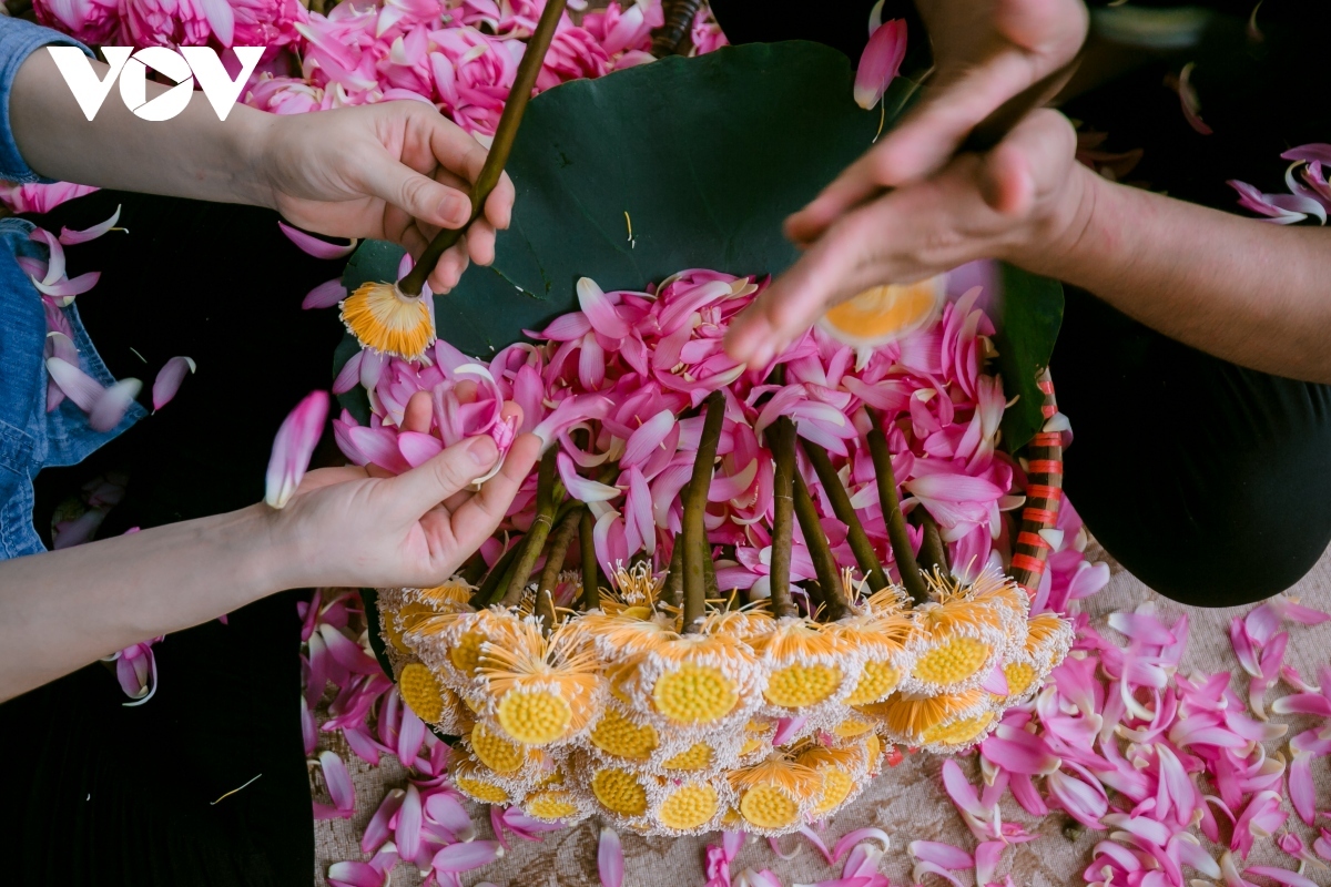 Workers gather to peel off the petals in order to get the lotus anther as fast as possible.
