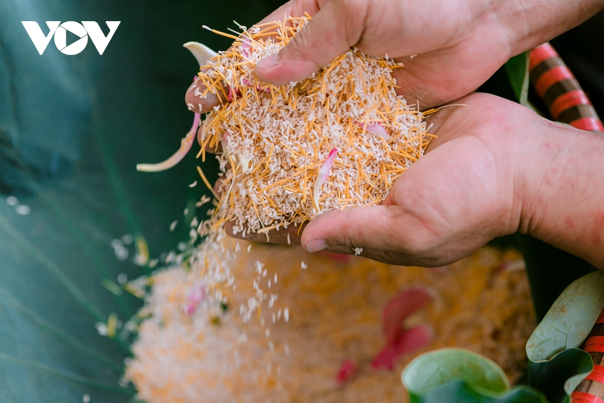 The lotus anther is an indispensable ingredient used in lotus tea.