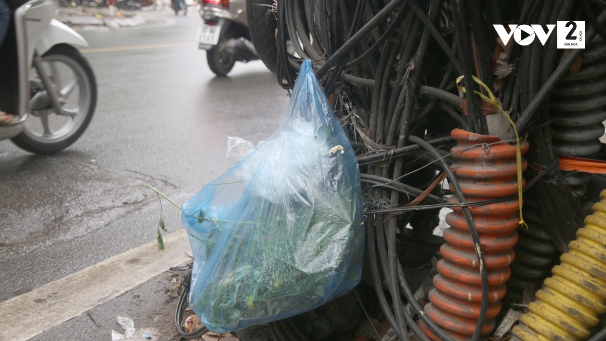 Có người còn treo rác lên dây điện.