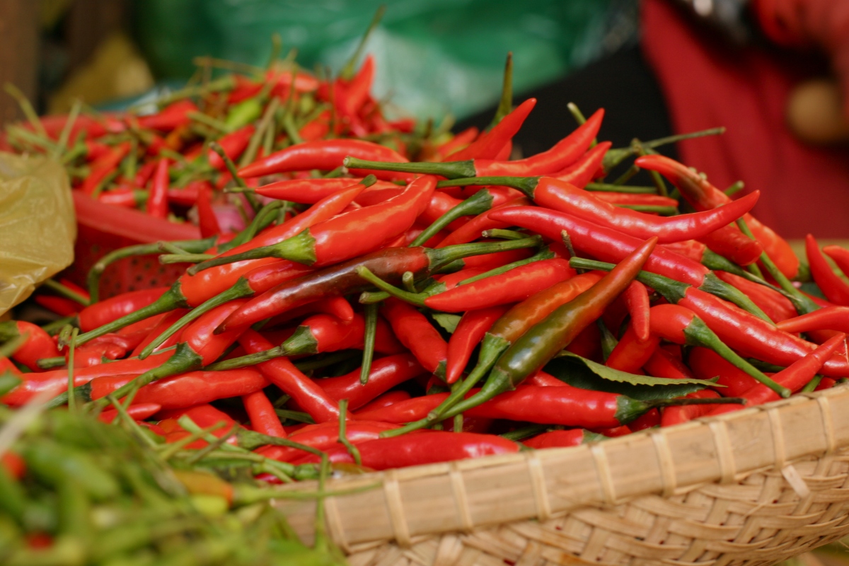 Chữa đau lưng với ớt cay