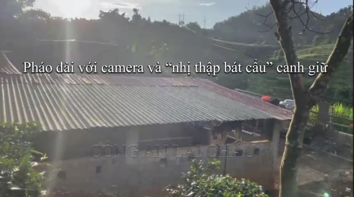 Tụ điểm ma túy của Liễm nằm trên đồi chè
