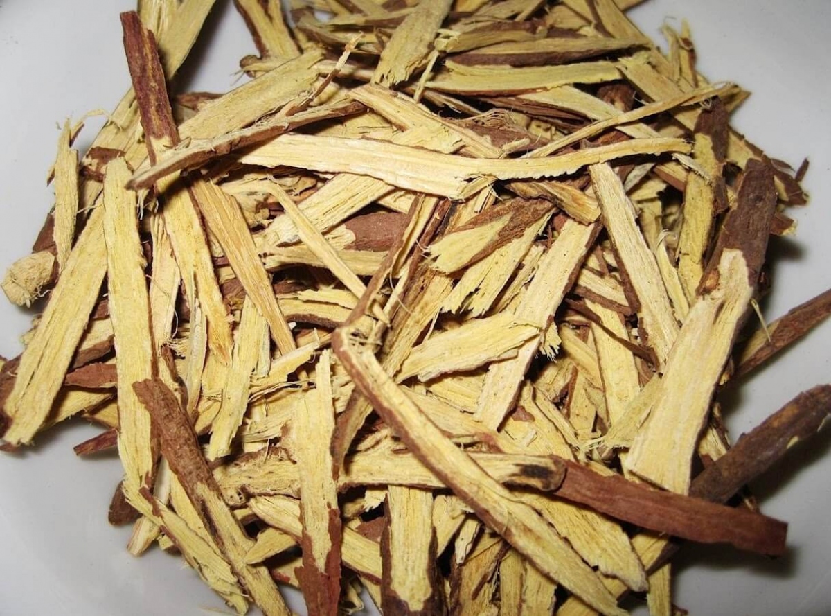 Cam thảo hỗ trợ sức khỏe hô hấp