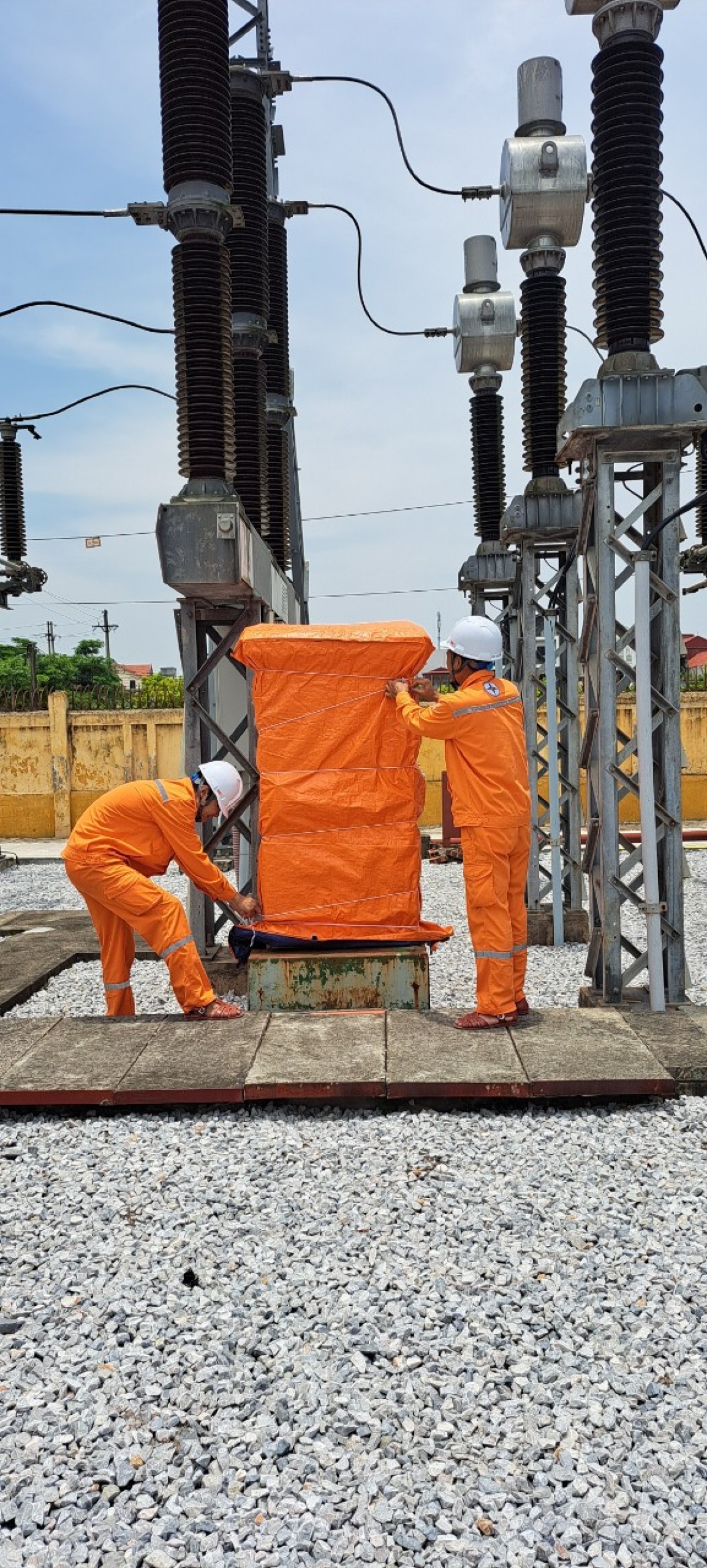 Một đoàn công tác kiểm tra ở khu vực các tỉnh Ninh Bình, Nam Định, Thanh Hóa.