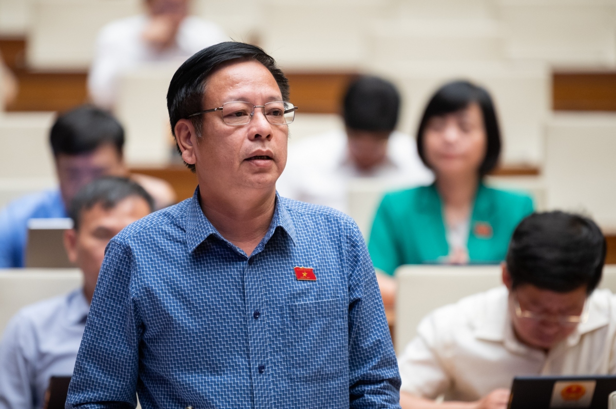 Đại biểu Nguyễn Trường Giang