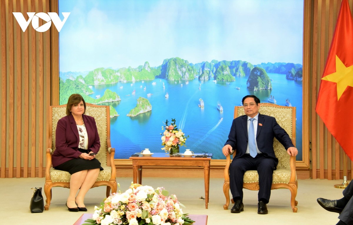 Thủ tướng Phạm Minh Chính tiếp Đại sứ Ai Cập Amal Salama