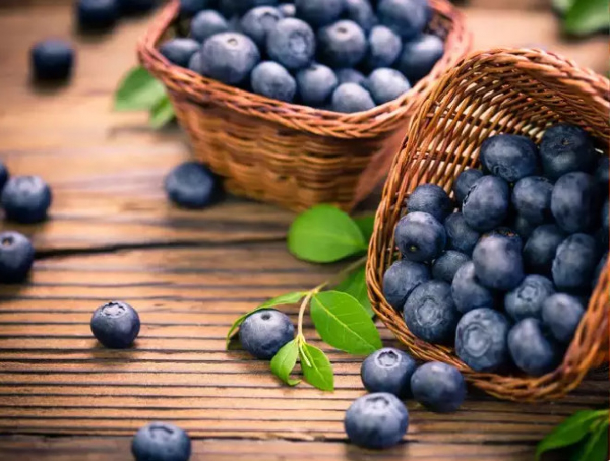Quả việt quất: Quả việt quất chứa nhiều chất chống oxy hóa, đặc biệt là anthocyanin, có liên quan đến việc giảm nguy cơ thoái hóa điểm vàng do tuổi tác (AMD) và đục thủy tinh thể. Những chất chống oxy hóa này giúp bảo vệ mắt khỏi stress oxy hóa và tổn thương.