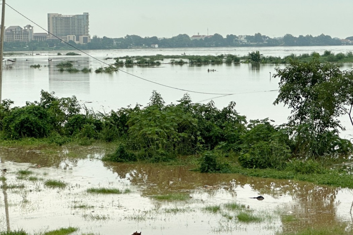 Mực nước sông Mekong đoạn giữa Lào và Thái Lan lên nhanh do mưa lũ. Nguồn: MRC
