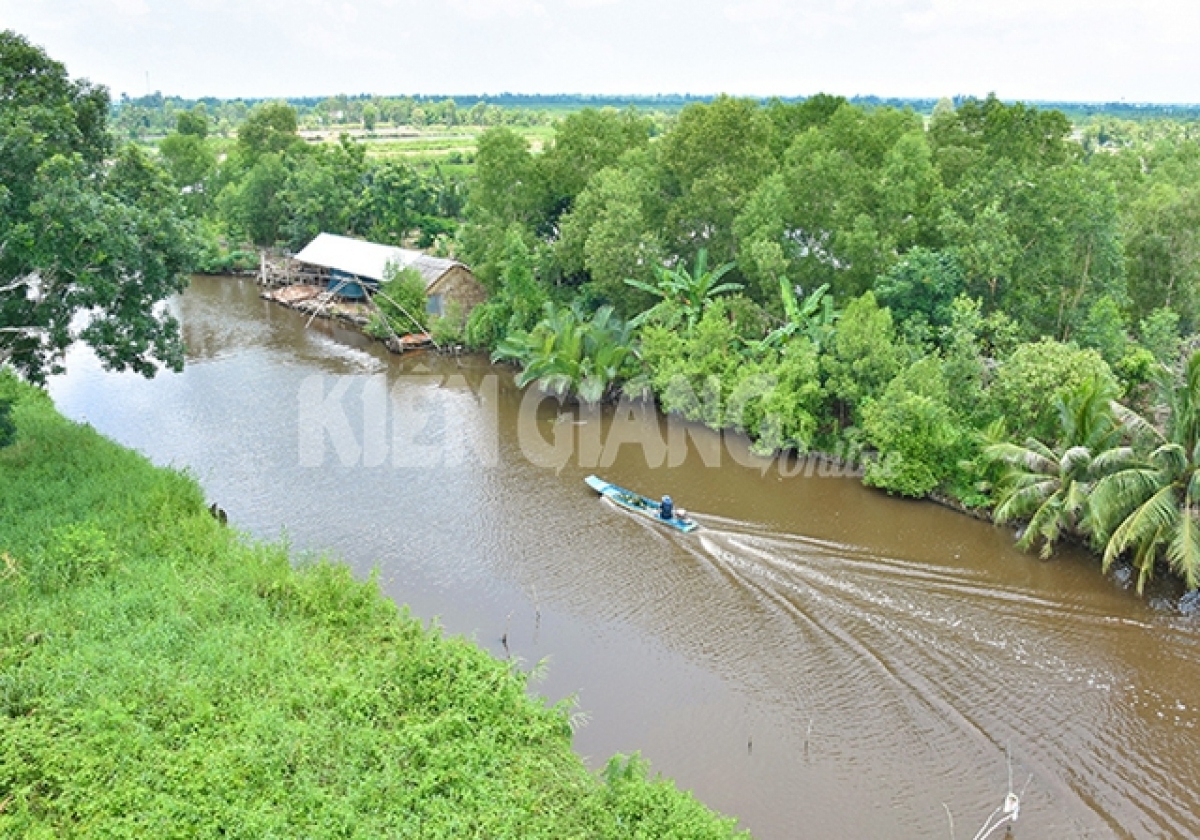 Khu vực rừng Tiểu khu 34, xã Đông Hưng B, huyện An Minh, tỉnh Kiên Giang - Ảnh: Báo Kiên Giang