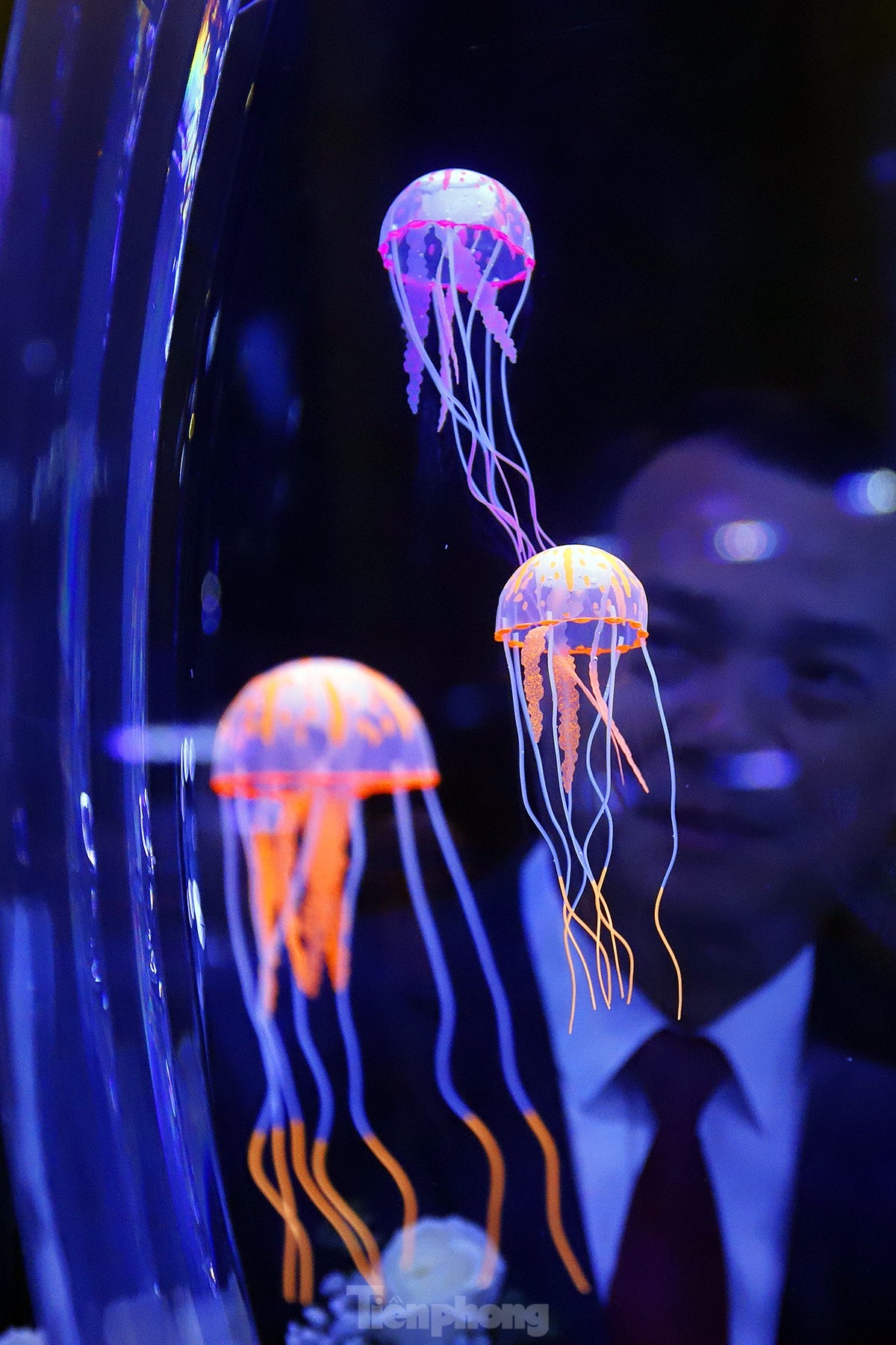 The Lotte World Hanoi Aquarium offers visitors a truly unique and unforgettable experience.