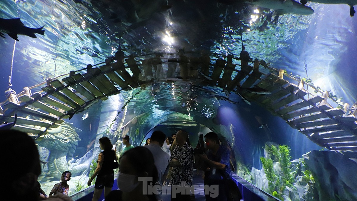 The aquarium houses approximately 400 different species and 31,000 marine creatures from all around the world.