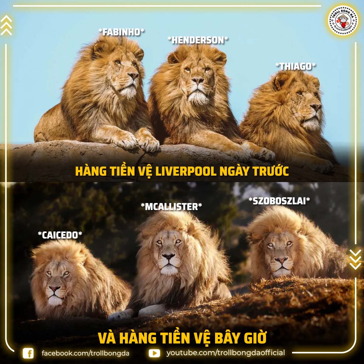 Hàng tiền vệ chất lượng của Liverpool ở mùa giải mới. (Ảnh: Troll Bóng đá). 