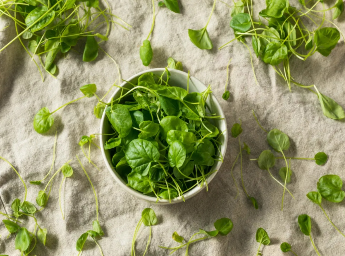 Tốt cho mắt: Cải xoong là nguồn cung cấp lutein và zeaxanthin tự nhiên - hai hợp chất hỗ trợ sức khỏe của mắt. Một báo cáo được công bố trên tạp chí Nutrients cho biết các hợp chất này có thể chống lão hóa mắt, hỗ trợ điều trị thoái hóa điểm vàng ở mắt.