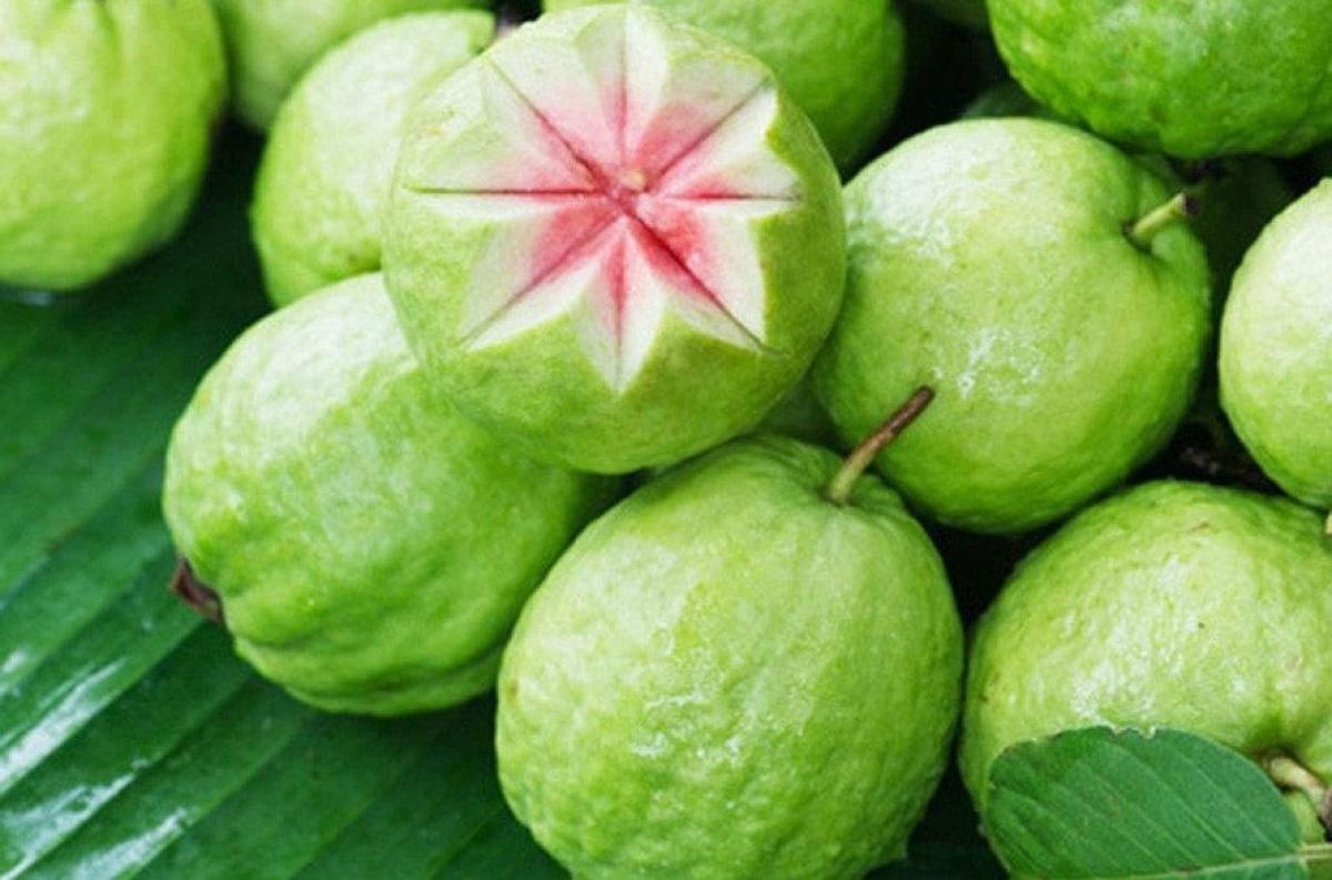 Kiểm soát cân nặng của bệnh nhân tiểu đường: Ổi có hàm lượng calo khá thấp. 100g ổi chỉ cung cấp 68 calo, từ đó giúp ngăn ngừa tăng cân. Đồng thời, lượng chất xơ dồi dào kéo dài cảm giác no, giúp người bệnh tiểu đường kiểm soát được mức cân nặng phù hợp.