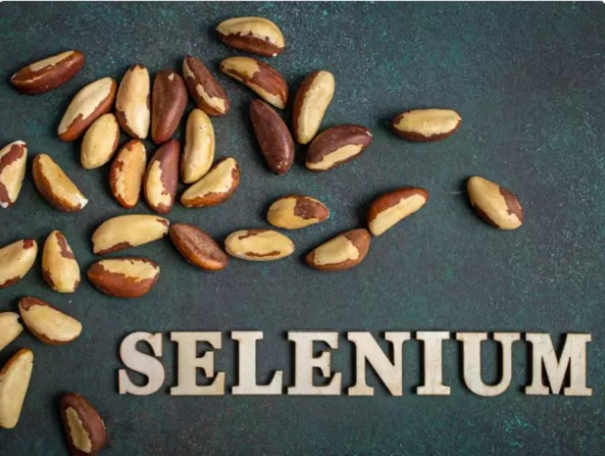 Selen: Selenium là một khoáng chất vi lượng khác hỗ trợ chức năng miễn dịch. Nó giúp sản xuất các enzym chống lại stress oxy hóa và cũng hỗ trợ hoạt động bình thường của các tế bào miễn dịch. Một số nguồn selen tốt bao gồm quả hạch Brazil, hải sản và ngũ cốc nguyên hạt.